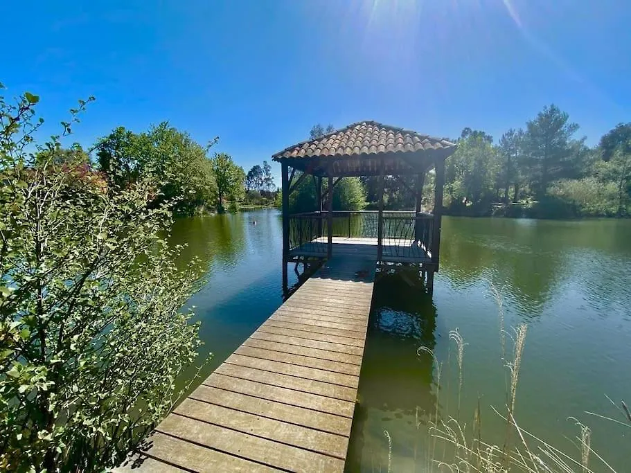 Les Restanques Bougainvillee 2051 Grimaud