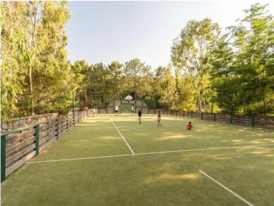 Les Restanques Bougainvillee 2051 Grimaud Apartment