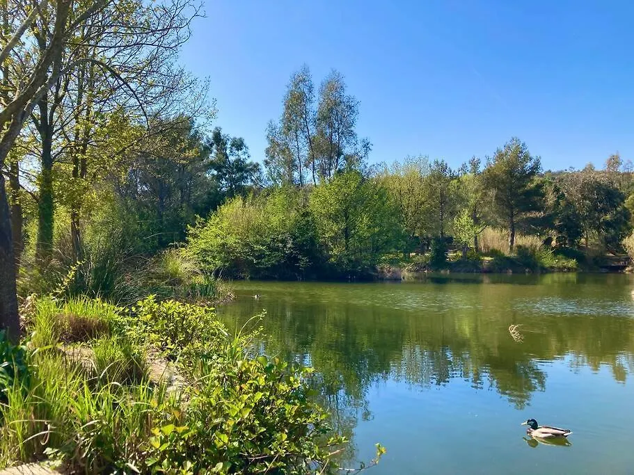 Les Restanques Bougainvillee 2051 Grimaud France